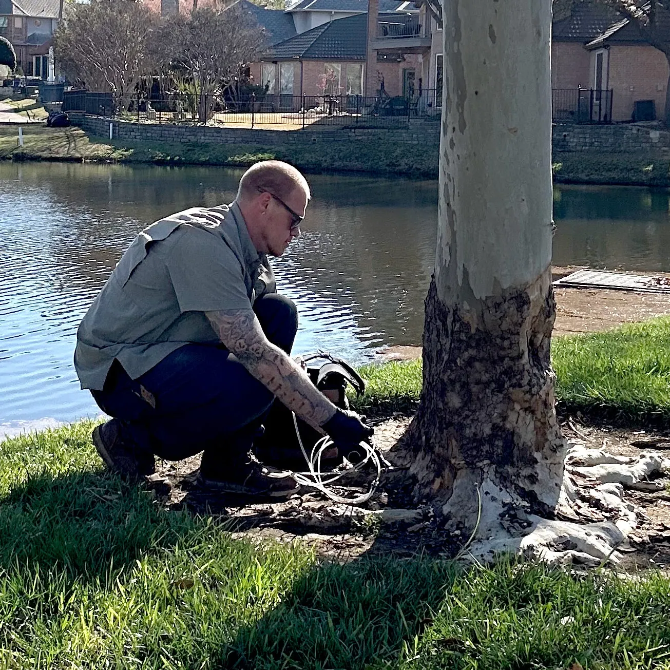 A Holcomb arborist crouched at the base of a tree, feeding deep root injection lines into the soil at the root flare, with a neighborhood pond behind.