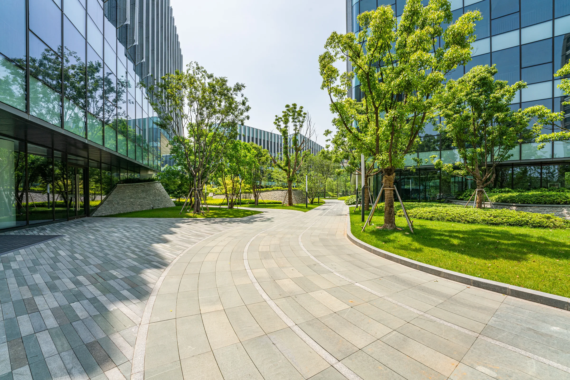 A paved walkway curving between two glass office buildings, staked young trees and mown lawn along one side.