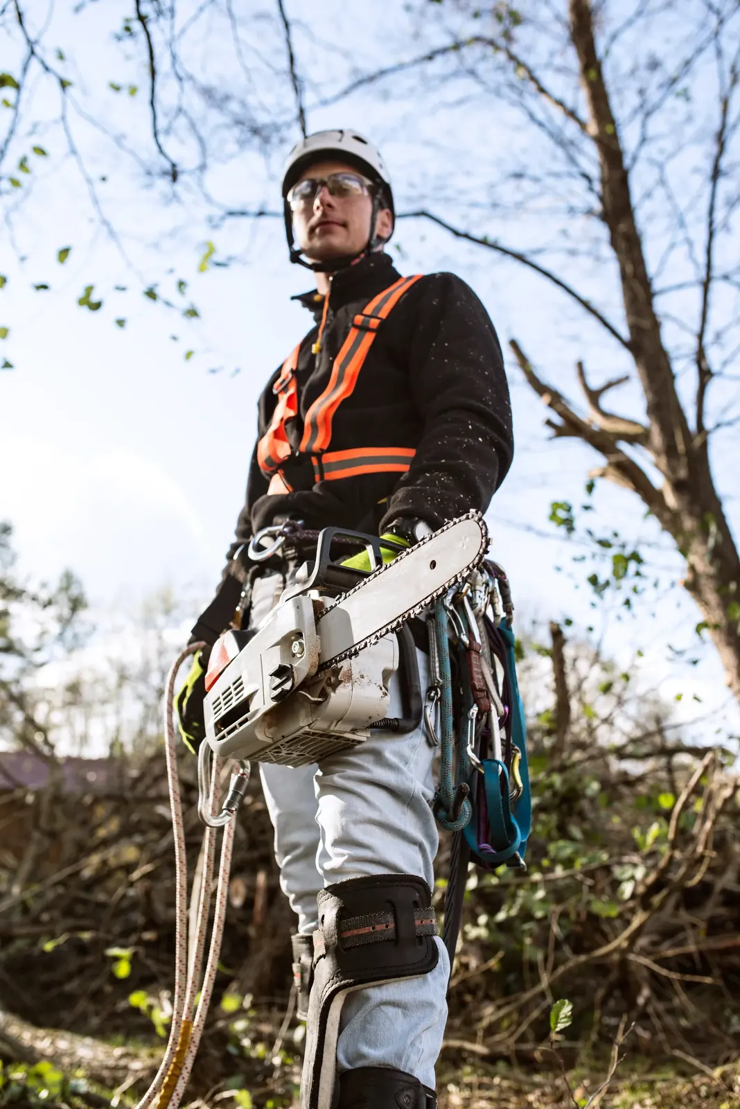 An arborist photographed from below in helmet, safety glasses and orange hi-vis harness, a chainsaw and climbing hardware clipped at the waist, bare branches overhead.