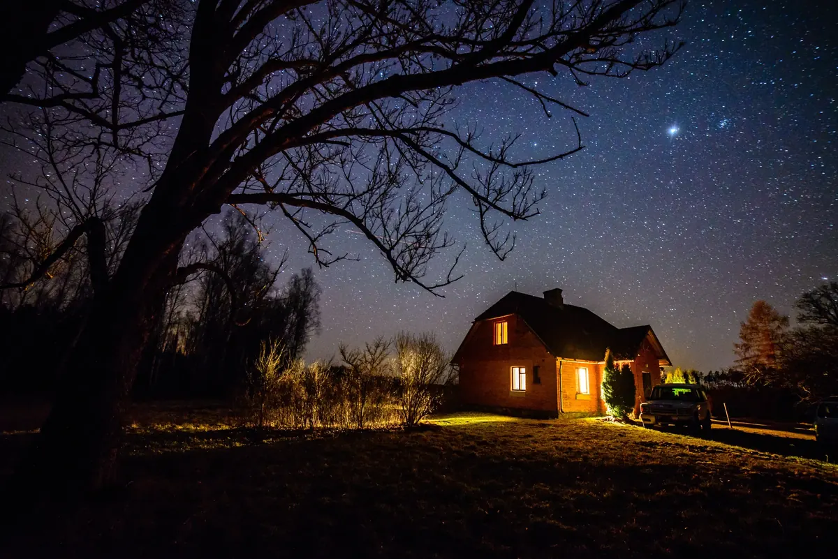 A large bare-limbed tree at night reaching over a small brick house with lit windows, under a sky full of stars.