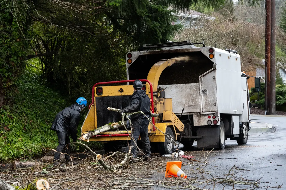 Two crew members in wet-weather gear feeding a cut limb into a yellow wood chipper behind a chip truck, on a rain-soaked street strewn with cut brush and a fallen traffic cone.